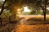 Tuinschilderij ochtenddauw 130x70cm II Customize-it - Customize it - thumbnail