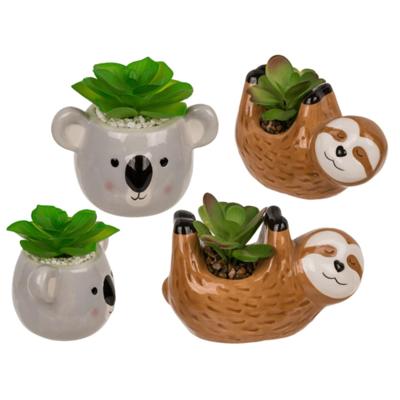 OOTB Vetplant in pot, luiaard of koala OOTB Vetplant in pot, luiaard of koala