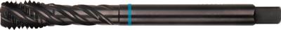 Rotec HSSE INOX M.Tap DIN 376-C/35°M24 VAP - 331.2400C