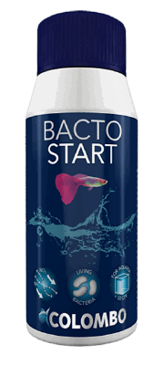 Bacto Start 100 Ml aquaria Colombo - Colombo
