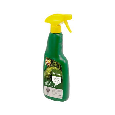 Pokon Buxus Groenhersteller 500ml