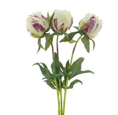 Paeony Marlie bundle a 3 pcs cream 48 cm kunstbloem Erutan Avon - Erutan avon Paeony Marlie bundle a 3 pcs cream 48 cm kunstbloem Erutan Avon - Erutan avon