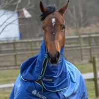 Bucas Smartex halsstuk donkerblauw maat:l - thumbnail