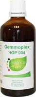 Balancepharma HGP034 Gemmoplex parasitaire lymf 100 Milliliter - thumbnail