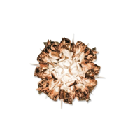 Slamp - Veli Mini Plafond/Wandlamp - thumbnail