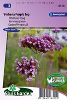 Verbena Bonariensis zaden Purple Top ijzerhard - thumbnail