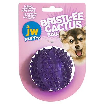 JW Puppy - Bristl-ee Cactus Ball JW Puppy - Bristl-ee Cactus Ball