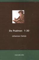 De Psalmen 1-30 (Paperback) - thumbnail