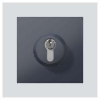 Siedle 210004992-00 Functiemodule voor Accessoires voor deurintercom Antraciet - thumbnail