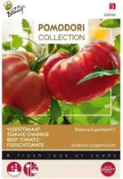 Zaden Pomodori Bistecca F1 Buzzy - Buzzy - thumbnail