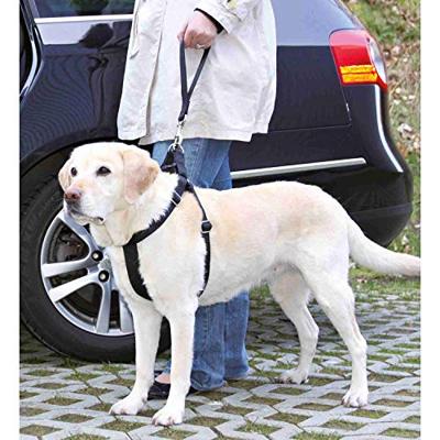 TRIXIE AUTOGORDEL KORTHOUDER UNIVERSEEL ZWART