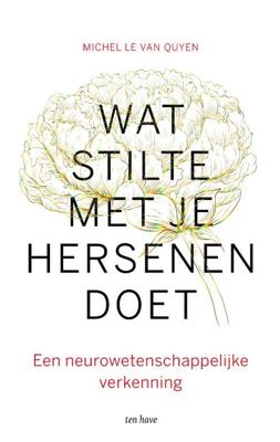 Wat stilte met je hersenen doet (Paperback)