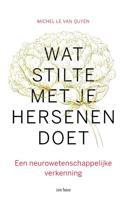Wat stilte met je hersenen doet (Paperback) - thumbnail