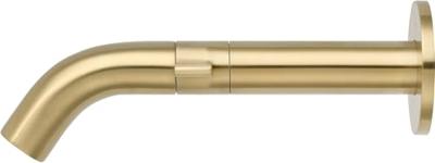 Ben Anello wand fonteinkraan geborsteld messing