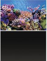 Deco Poster A1 60X30 Cm aquaria Superfish - Superfish - thumbnail