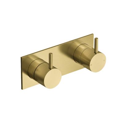 Inbouw Douchemengkraan Hotbath Cobber 2-weg Geborsteld Messing PVD