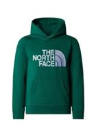 The North Face Drew Peak P/O Casual Sweater Jongens 152 - thumbnail