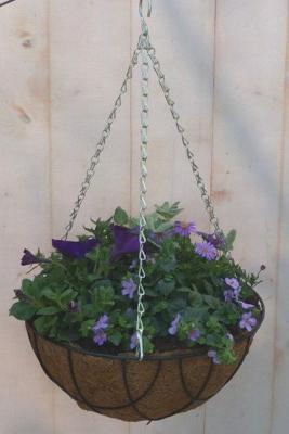 Diverse hangplantjes in kokos hanging basket van paar en blauw Warentuin Natuurlijk - Warentuin natuurlijk