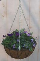 Diverse hangplantjes in kokos hanging basket van paar en blauw Warentuin Natuurlijk - Warentuin natuurlijk - thumbnail