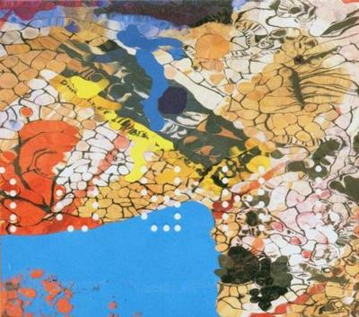 Throwing Muses - CD (0652637230123)