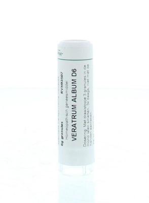 Veratrum album D6 Veratrum album D6