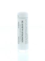 Veratrum album D6 - thumbnail