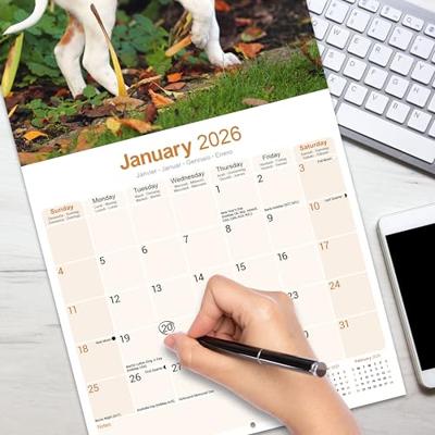 Pointer Calendar 2026 Square Dog Breed Wall Calendar - 16 Month