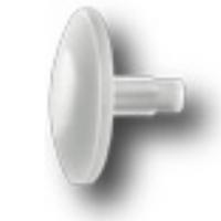 Afdekkap wit spax boorkopschroef - thumbnail