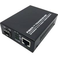 Trend Networks 100Base-Fx RJ45-SFP Mediaconverter - thumbnail