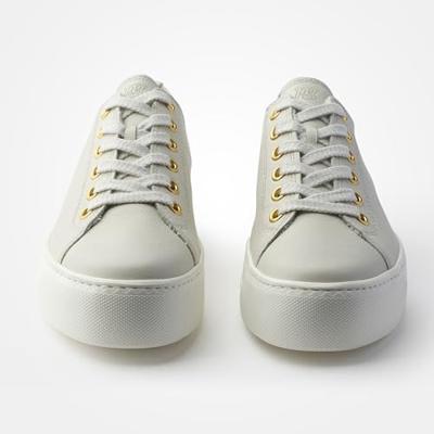 Paul Green 4790 - alle