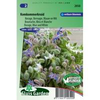 Borage zaden blauw en wit - thumbnail