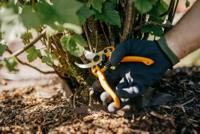 Fiskars 1020204 PB-8 M Tuinschaar 201 mm Bypass - thumbnail