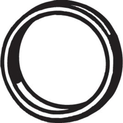 Afdichtring uitlaatpijp 256428