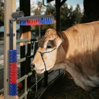 VidaXL Vee borstels verstelbaar rood en blauw 84 x 10 x 91 cm pvc - thumbnail