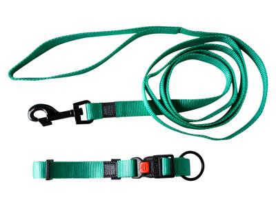 Karlie Halsband met lijn (Sinaasappel) Karlie Halsband met lijn (Sinaasappel)