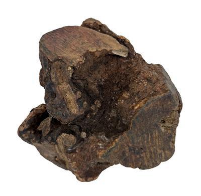 Dog Woodzzz kauwwortel met olijfolie