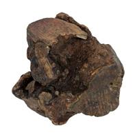 Dog Woodzzz kauwwortel met olijfolie - thumbnail