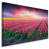 Schilderij - Bloeiend tulpen veld, premium print - thumbnail