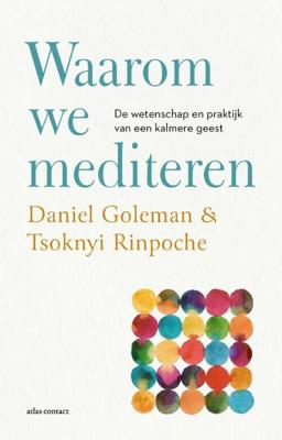Waarom we mediteren (Paperback)