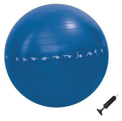 Gymbal RS Sports anti burst 65cm met pomp blauw