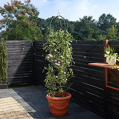 Rozenkolom Zwart 200x40cm Rozenkolom Zwart 200x40cm