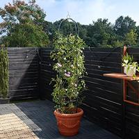 Rozenkolom Zwart 200x40cm - thumbnail