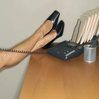 Pedag 102 Royal - alle - thumbnail