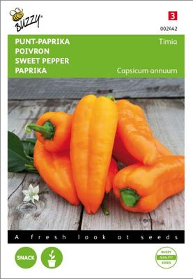 Punt-Paprika Timia, Oranje zaden Buzzy - Buzzy Punt-Paprika Timia, Oranje zaden Buzzy - Buzzy