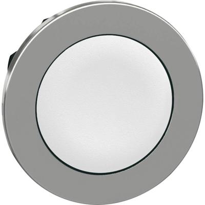 Schneider Electric ZB4FA1 ZB4FA1 Plat, Terugstelbaar (Ø) 30.5 mm Zonder markering Chroom, Wit 1 stuk(s)