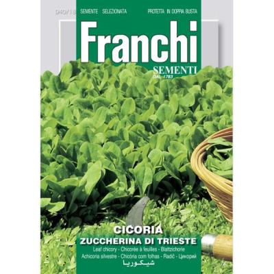 Cichorei Cicoria Di Trieste 40/18 zaden Franchi - Franchi