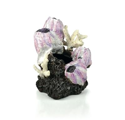 BiOrb ornament eendenmossel roze klein aquarium decoratie