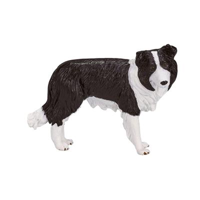 Mojo farmland border collie 387203 Mojo farmland border collie 387203