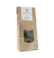 Vitiv Biologische Brandnetel Thee - thumbnail