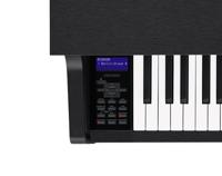 Casio Celviano Grand Hybrid GP-310 digitale piano zwart - thumbnail